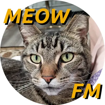 Meow FM Logo